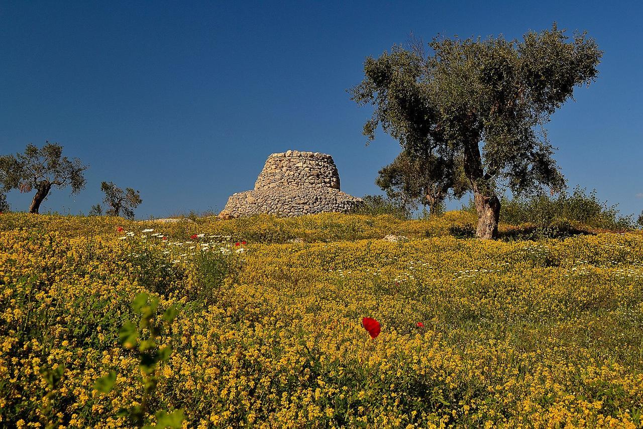 Meraviglie Del Salento Порто-Чезарео Экстерьер фото